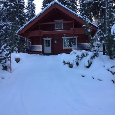 Holiday home Nipasjalonen